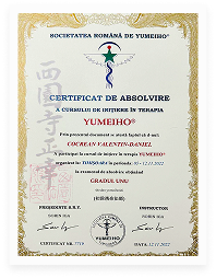diploma-Terapia-Yumeiho-small